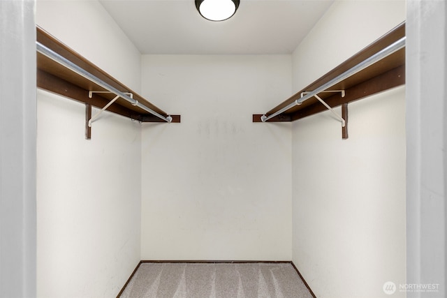 walk in closet with carpet