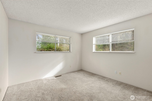 carpeted empty room with a textured ceiling, visible vents, and a healthy amount of sunlight