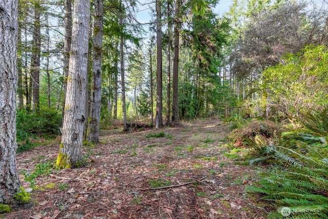 view of local wilderness with a forest view