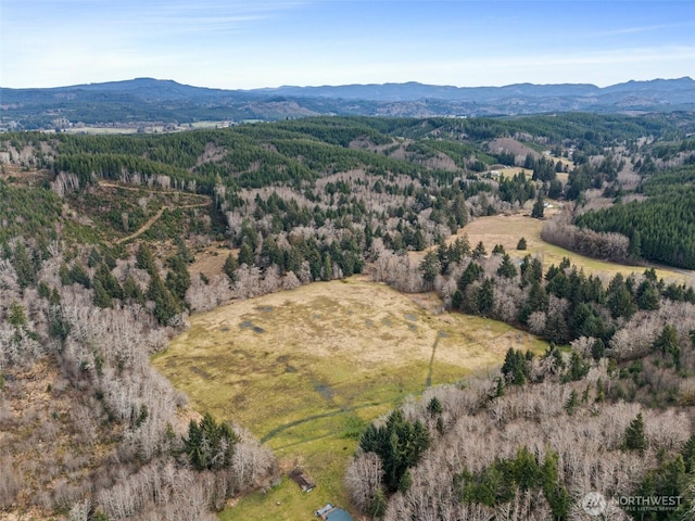 0XXX Rue Creek Rd, Raymond WA, 98577 land for sale