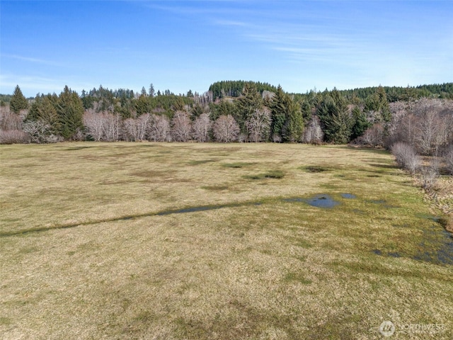 Listing photo 3 for 0XXX Rue Creek Rd, Raymond WA 98577