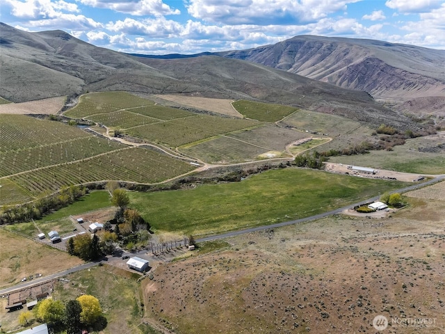 birds eye view of property with a mountain view and a rural view