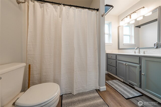 bathroom with vanity, toilet, and wood finished floors