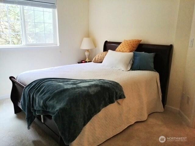 bedroom with carpet flooring