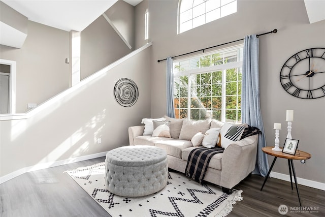 living room with wood finished floors, a towering ceiling, and baseboards