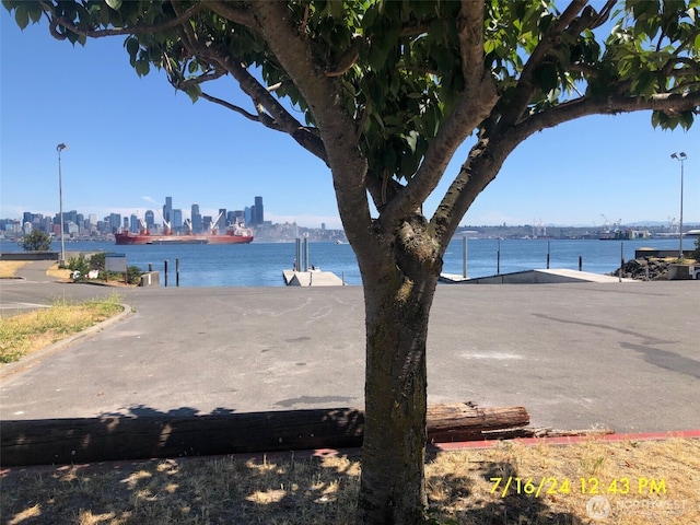 1221 Harbor Ave SW Unit 105, Seattle, WA 98116 - water view with city skyline