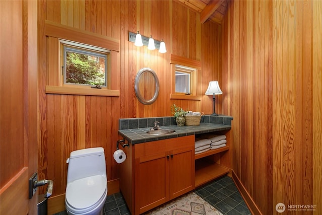 707 NW Thatcher Pass Rd, Decatur Island, WA 98221 - bathroom with toilet, vanity, and wooden walls