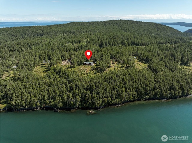 707 NW Thatcher Pass Rd, Decatur Island, WA 98221 - birds eye view of property with a view of trees and a water view