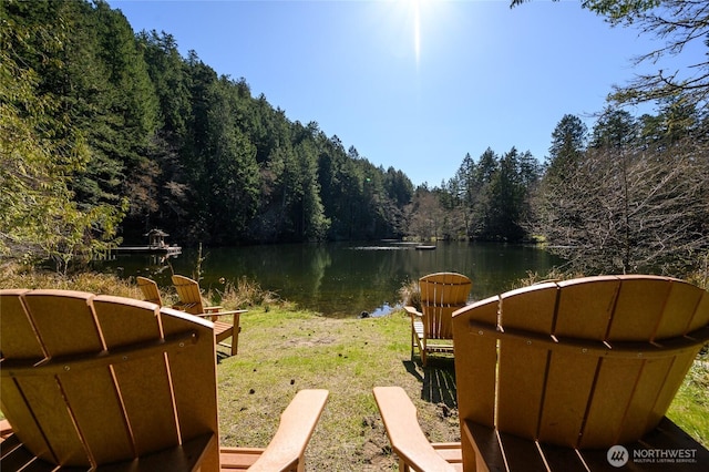707 NW Thatcher Pass Rd, Decatur Island, WA 98221 - view of yard featuring a water view and a forest view