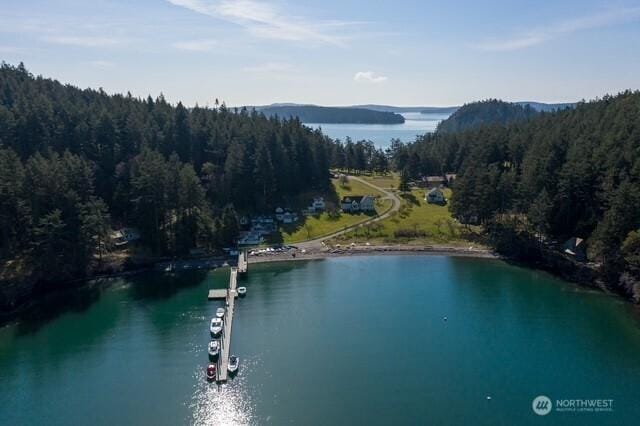 707 NW Thatcher Pass Rd, Decatur Island, WA 98221 - birds eye view of property with a forest view and a water view