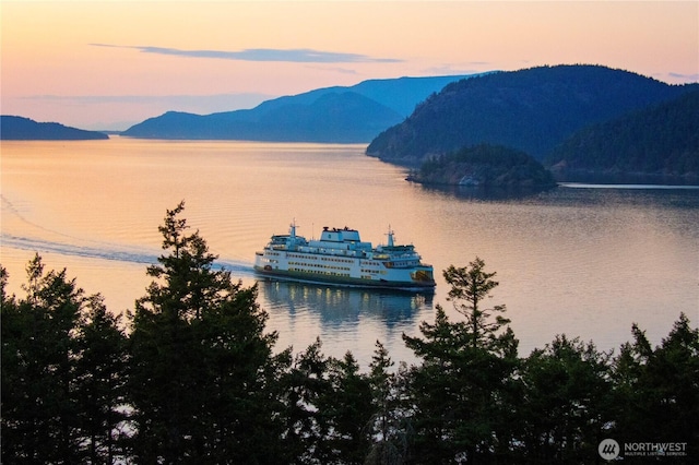 707 NW Thatcher Pass Rd, Decatur Island, WA 98221 - water view featuring a mountain view