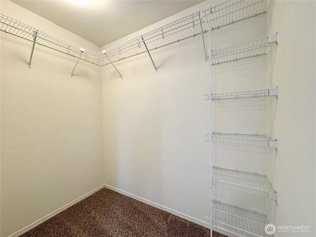 spacious closet with carpet flooring