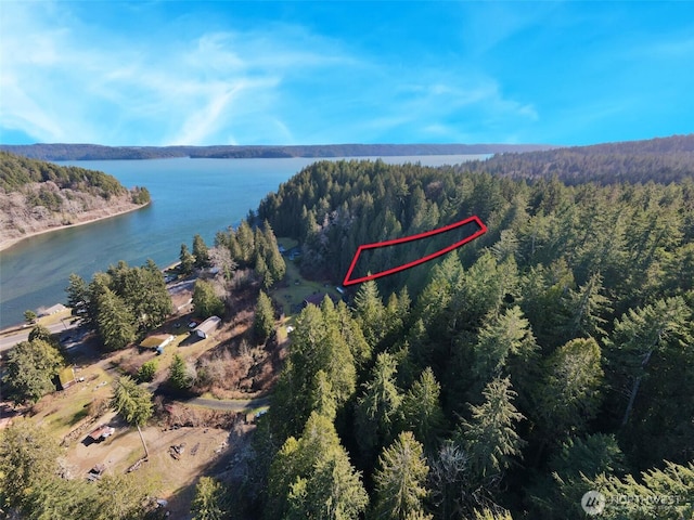 29 N Lilliwaup St, Lilliwaup WA, 98548 land for sale