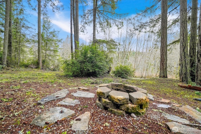 10209 Edgewood Dr, Anderson Island, WA 98303 - view of yard with a fire pit and a wooded view