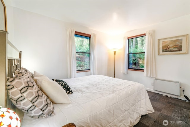 10209 Edgewood Dr, Anderson Island, WA 98303 - bedroom with multiple windows