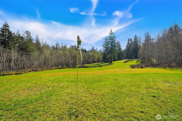 10209 Edgewood Dr, Anderson Island, WA 98303 - view of yard featuring a view of trees