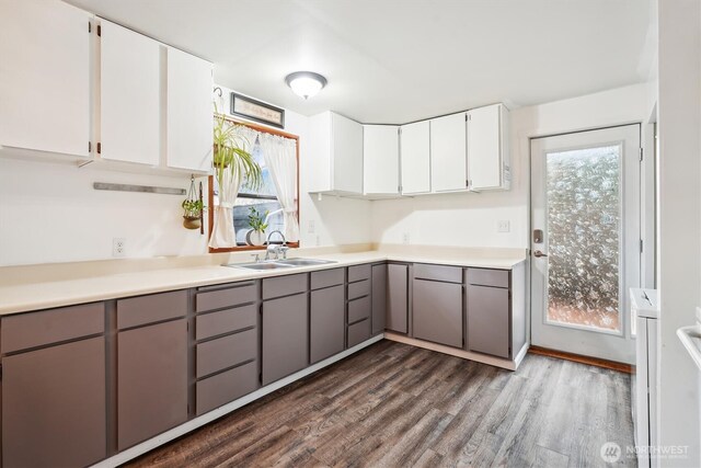 10209 Edgewood Dr, Anderson Island, WA 98303 - kitchen featuring dark wood-style floors, a healthy amount of sunlight, a sink, and gray cabinetry