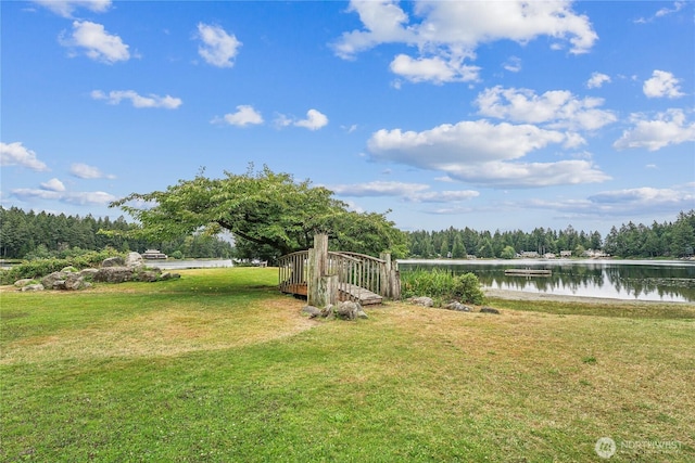 10209 Edgewood Dr, Anderson Island, WA 98303 - view of yard with a water view