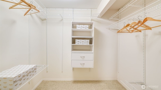 walk in closet featuring carpet flooring