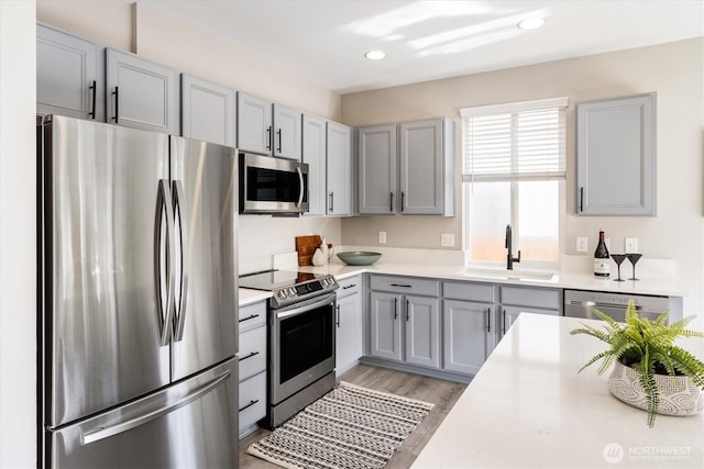 kitchen featuring recessed lighting, gray cabinets, a sink, appliances with stainless steel finishes, and light wood-type flooring