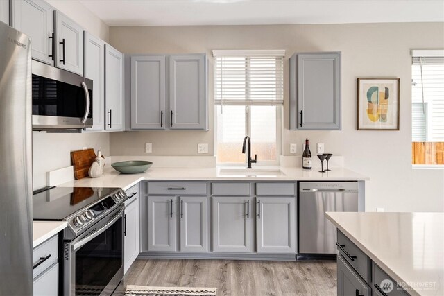 kitchen with gray cabinetry, a sink, light wood-style floors, appliances with stainless steel finishes, and light countertops