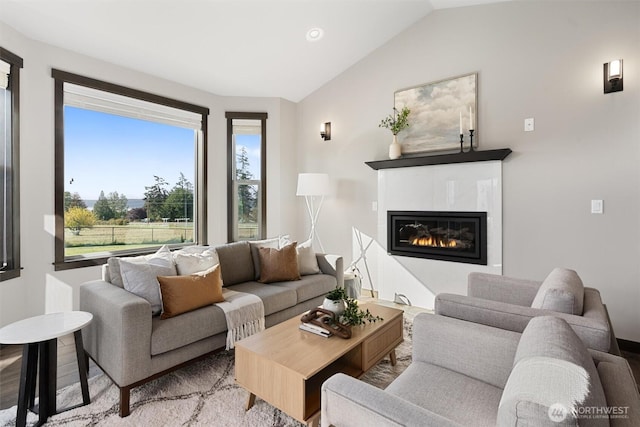 living area featuring lofted ceiling, a premium fireplace, and wood finished floors