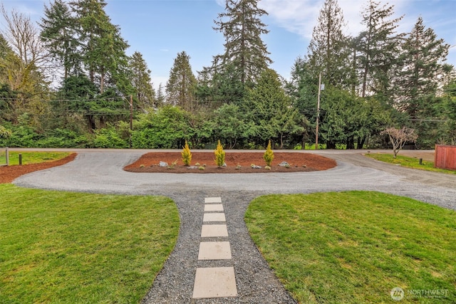 view of home's community with a yard and driveway