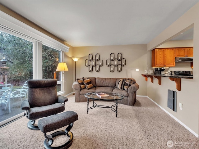 living area featuring light colored carpet, visible vents, and baseboards