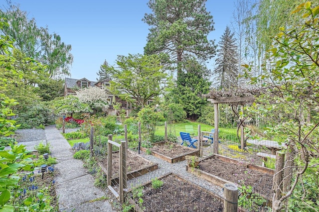 view of yard featuring a vegetable garden