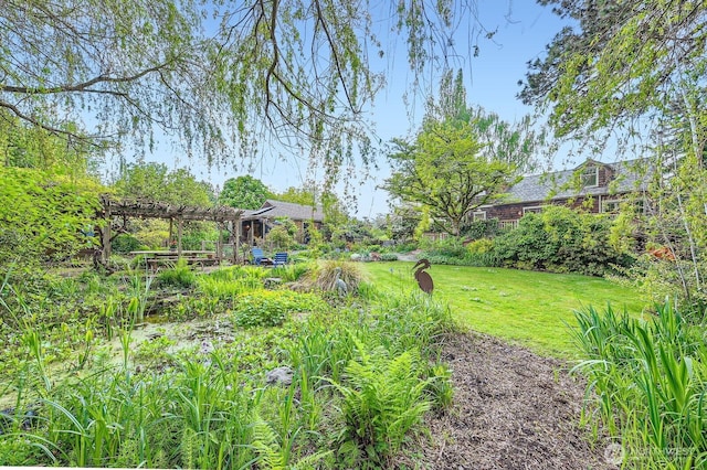 view of yard with a pergola