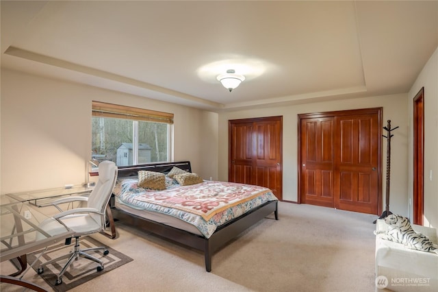 bedroom featuring carpet floors, a raised ceiling, and two closets