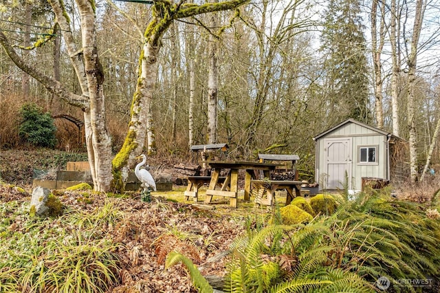 view of yard with a storage unit and an outdoor structure