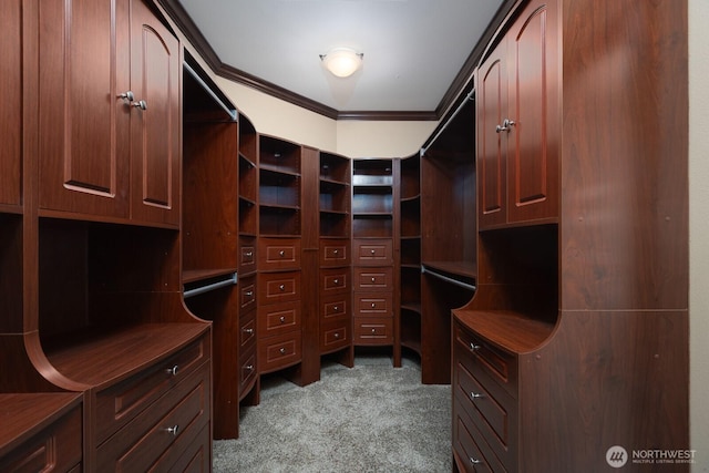 spacious closet featuring carpet