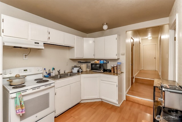 kitchen with white range with electric cooktop, light wood-style floors, under cabinet range hood, white cabinetry, and a sink