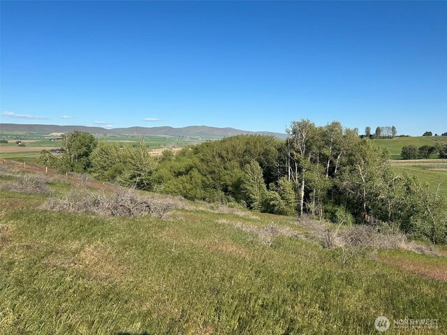 5B Stonegate Dr, Ellensburg, WA 98926 - photo 3