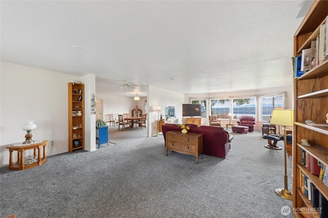 carpeted living area with a textured ceiling