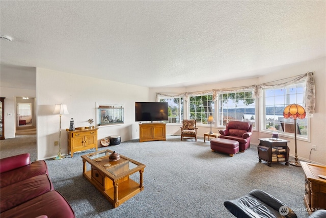 carpeted living room with a textured ceiling and baseboards