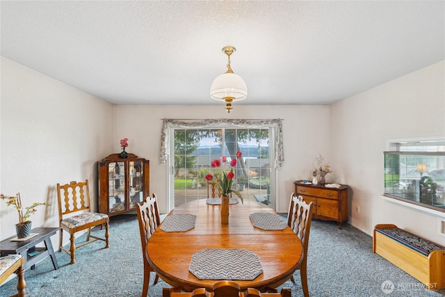 carpeted dining area featuring a textured ceiling