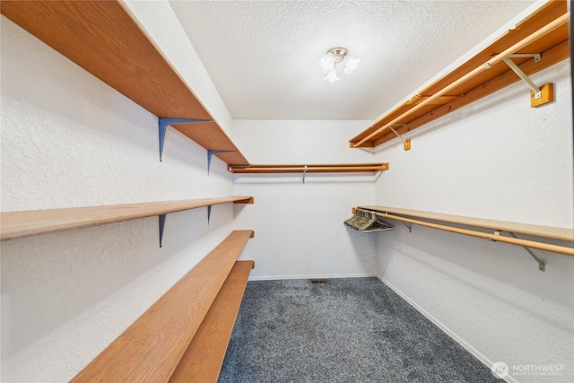 spacious closet featuring carpet floors