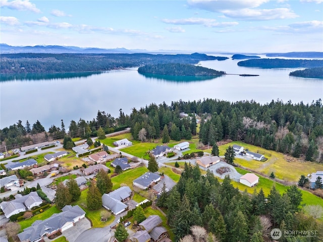 birds eye view of property with a water view and a forest view