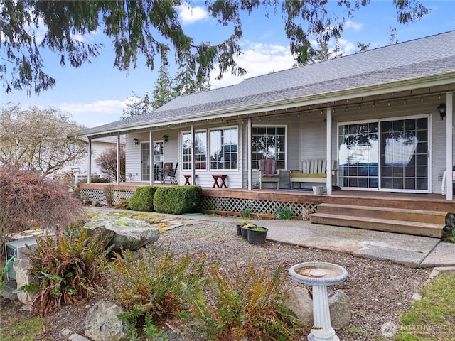 view of front of home featuring covered porch and a shingled roof