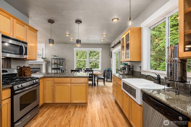 kitchen with a peninsula, appliances with stainless steel finishes, plenty of natural light, and a sink