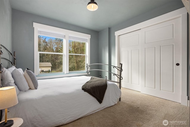 carpeted bedroom with a closet