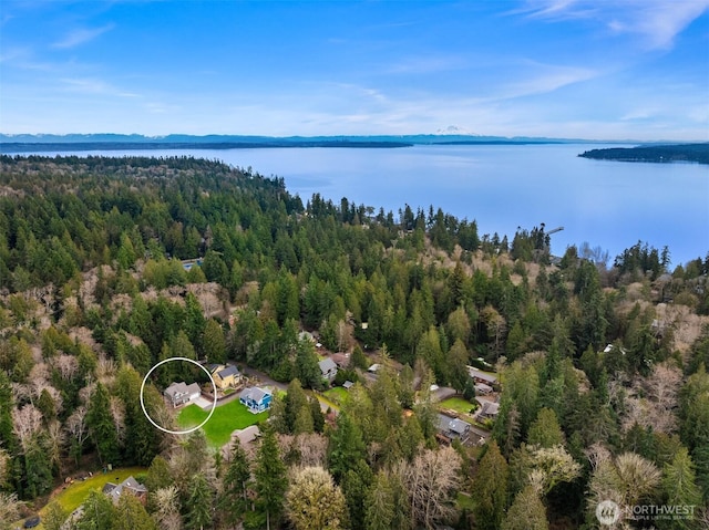 birds eye view of property with a water view and a view of trees