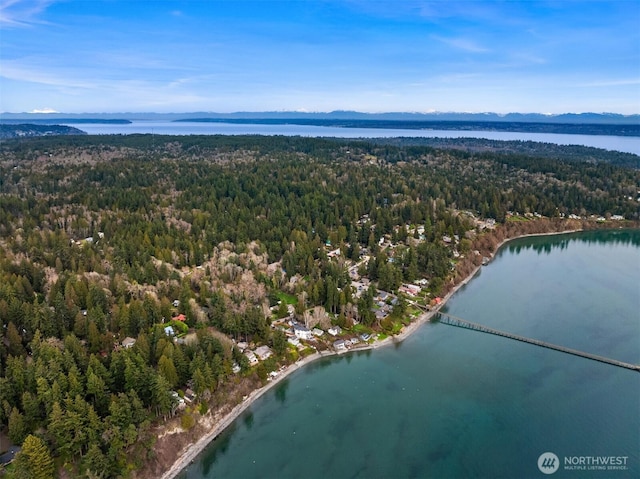 birds eye view of property with a water view and a view of trees