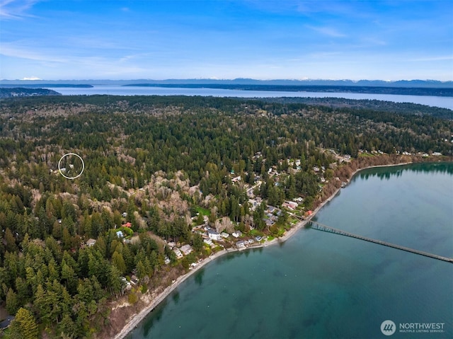 aerial view featuring a water view and a wooded view