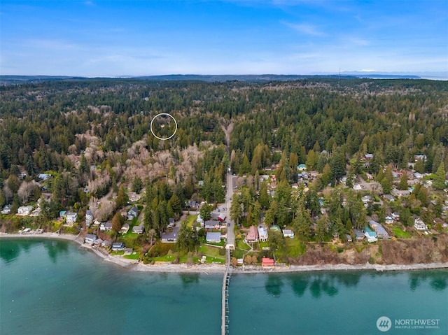 bird's eye view featuring a water view and a wooded view