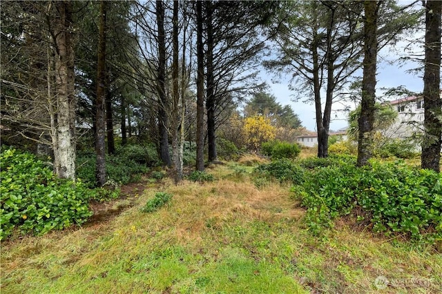 Listing photo 2 for 880 Ocean Shores Blvd, Ocean Shores WA 98569