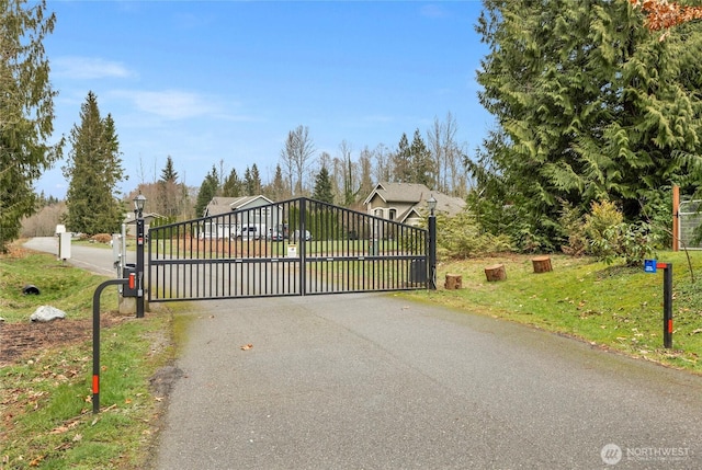 view of gate with a yard