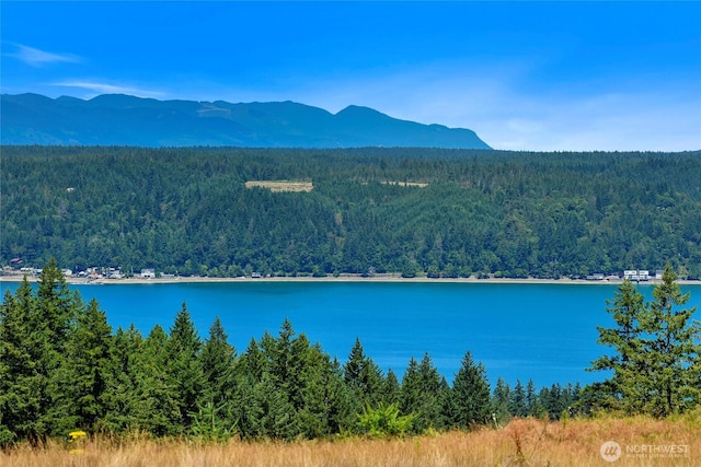 4 E Alderbrook Ridge Dr, Union WA, 98592 land for sale